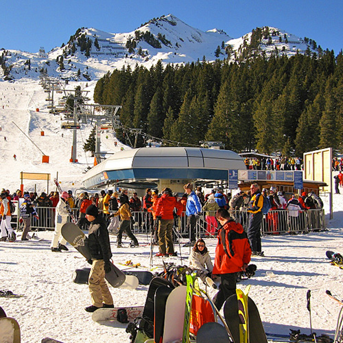 Lyžování
